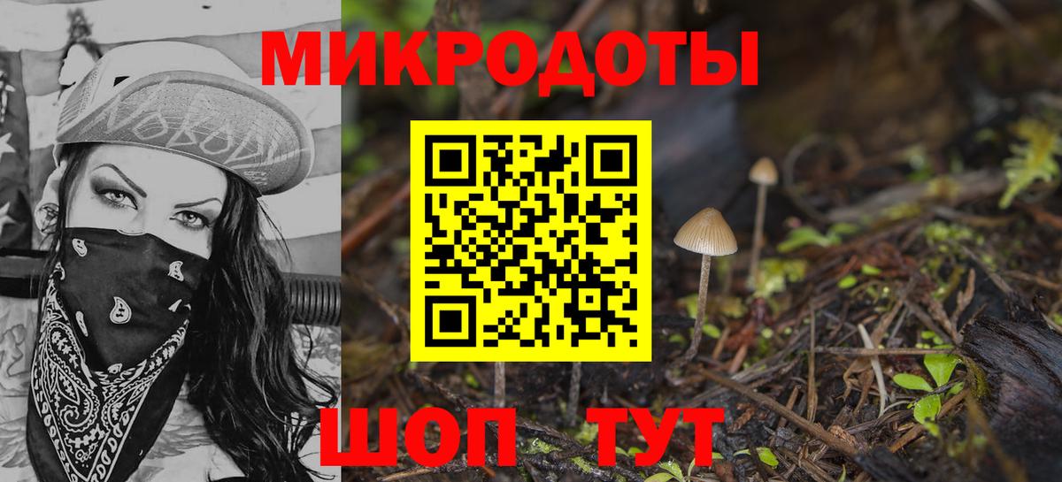 Галлюциногенные грибы MAGIC MUSHROOMS Камышлов