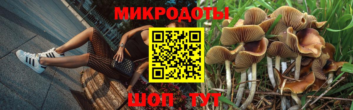 Камышлов  Псилоцибиновые грибы мицелий  Галлюциногенные грибы Magic Shrooms  Вход с VPN 